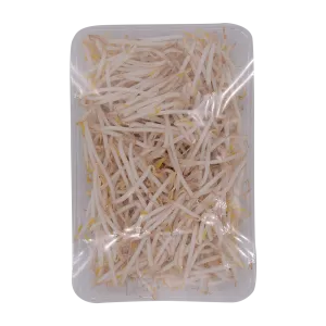 Beansprouts 300G