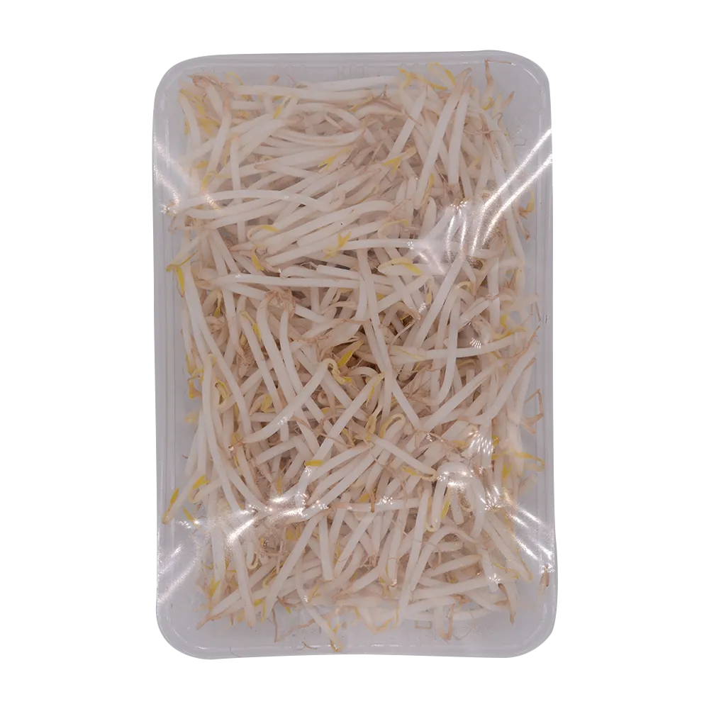 Beansprouts 300G